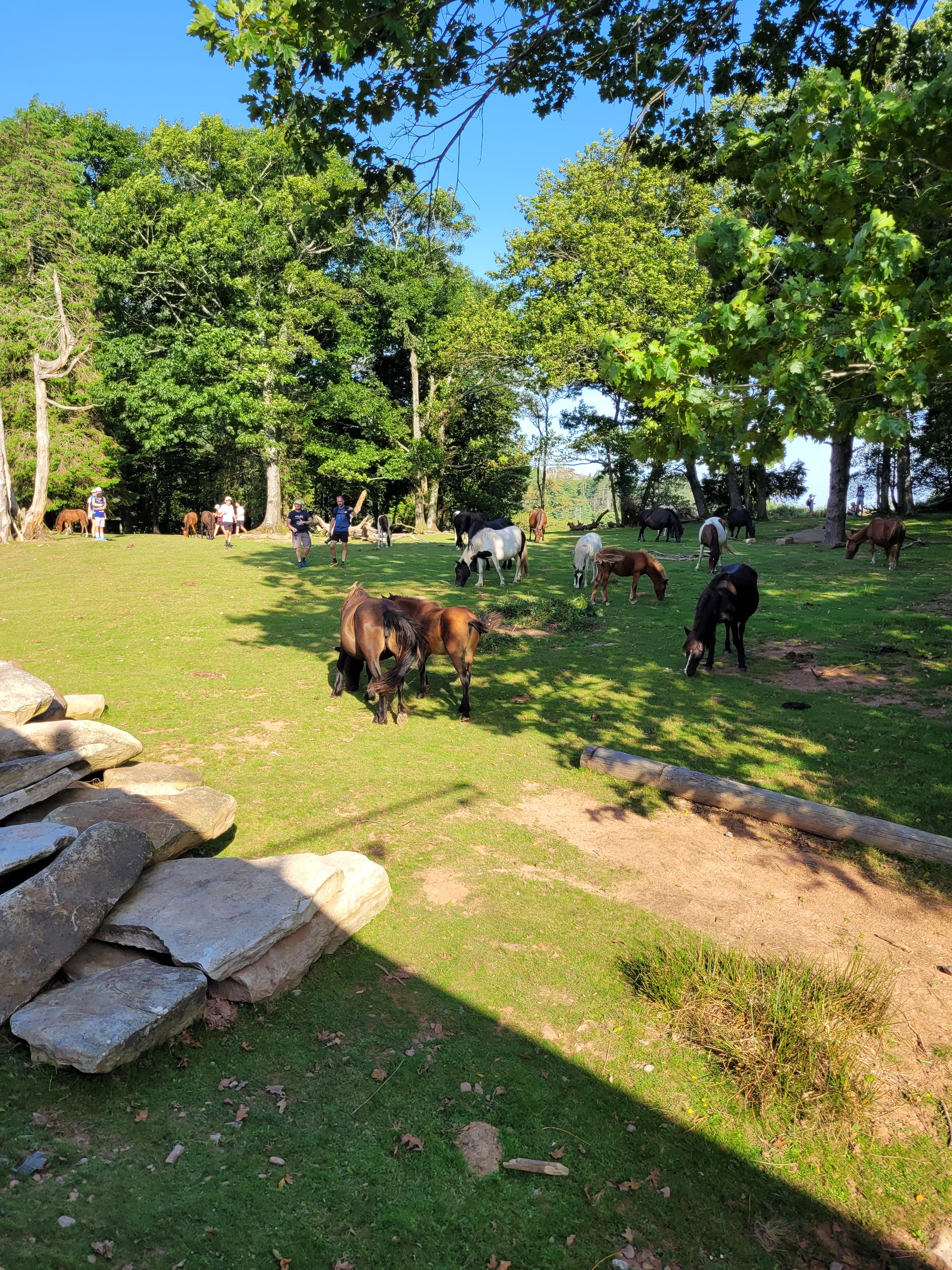 Photo n° 11 de l'avis de Ludovic.e fait le 11/09/2023 à 14:10