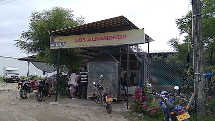 Asadero y Restaurante Los Almendros - Via Saravena-Fortul, Saravena, Arauca, Colombia