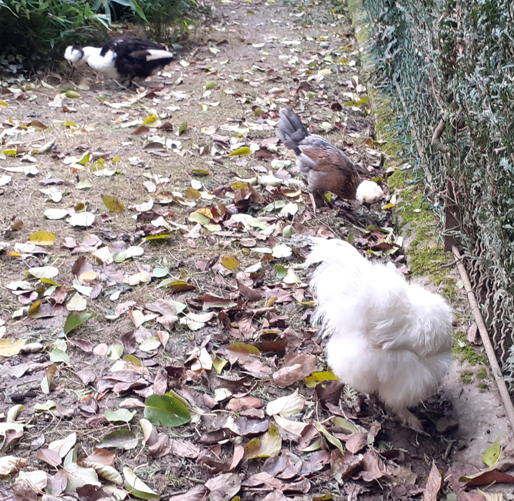 Photo n° 16 de l'avis de Doume. fait le 13/12/2019 à 18:34
