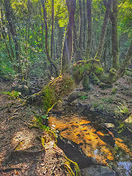Photo n°18 de Piscia Di l'Onda à Moca-Croce ()