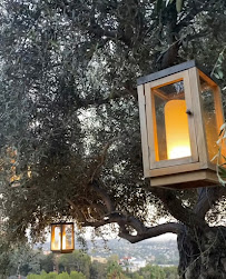 Dreaming Green landscape and maintenance - Photo 5 - Car repair in , Santa Clarita