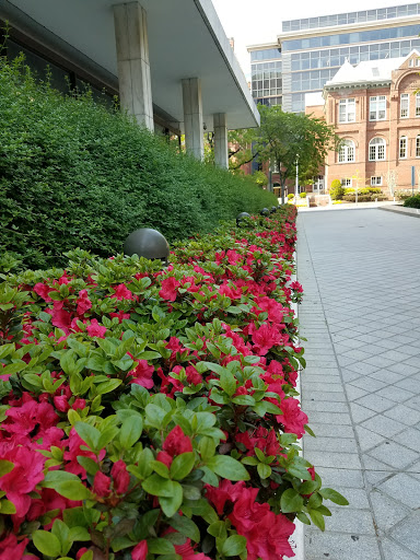 Museum «National Geographic Museum», reviews and photos, 1145 17th Street NW, Washington, DC 20036, USA