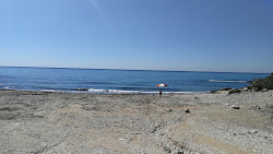 Les Palmeretes photo #7