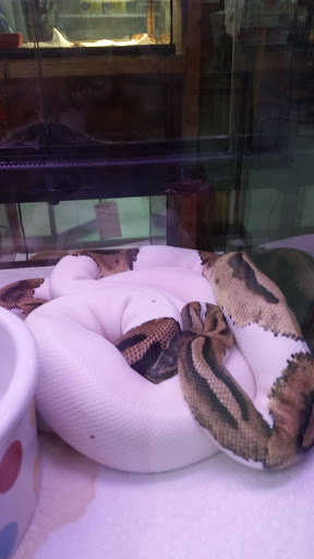Pet Store «Inland Reef Pet Store», reviews and photos, 817 Cross Lanes Dr, Cross Lanes, WV 25313, USA
