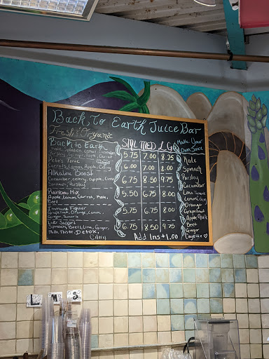 Grocery Store «Back To Earth Natural Foods», reviews and photos, 306 S Main St, New City, NY 10956, USA