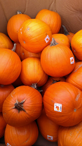 Home Improvement Store «The Home Depot», reviews and photos, 1881 Ridge Rd, West Seneca, NY 14224, USA