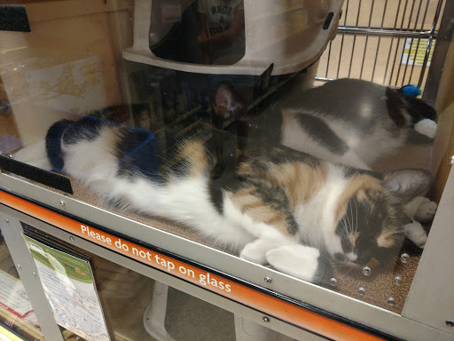 Pet Supply Store «PetSmart», reviews and photos, 15618 Whittwood Ln, Whittier, CA 90603, USA