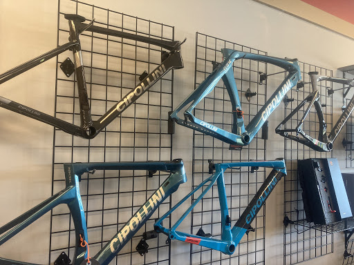 Ski Shop «R J Bradley Ski & Bike», reviews and photos, 312 Great Rd, Littleton, MA 01460, USA