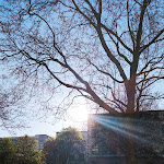 Photo n°1 de l'avis de Hannes. fait le 24/06/2021 à 20:42 sur le  OBERDECK Hamburg à Hamburg