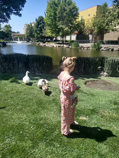 Sporting Goods Store «Bass Pro Shops», reviews and photos, 1356 Bass Pro Dr, Manteca, CA 95337, USA