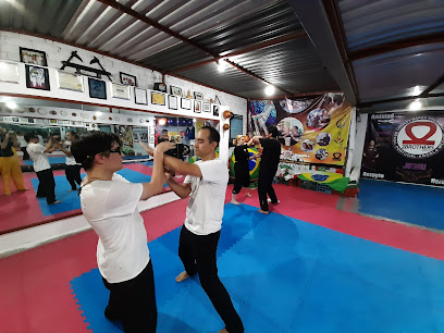 Centro Esportivo Cultural éVida - Casa de CRCA Wing Chun Gung Fu Queretaro y Capoeira éVida