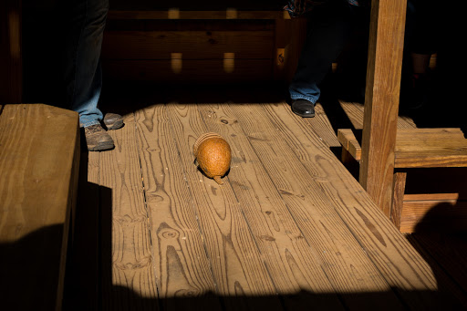 Zoo «Wildlife Wonders», reviews and photos, 2754 Paradise Valley Rd, Cleveland, GA 30528, USA