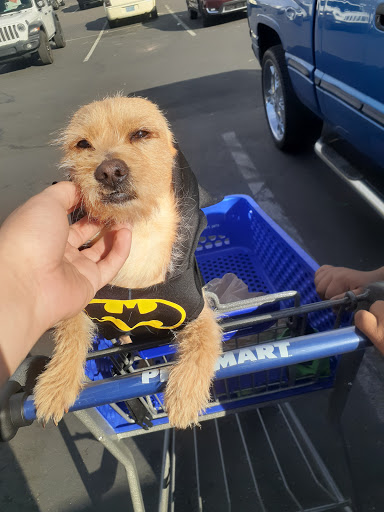 Pet Supply Store «PetSmart», reviews and photos, 1321 W Craig Rd, North Las Vegas, NV 89032, USA