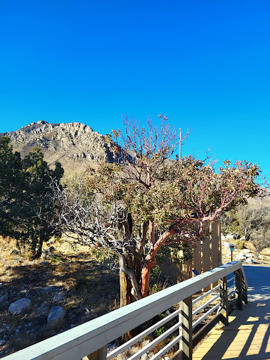 National Park «Guadalupe Mountains National Park», reviews and photos