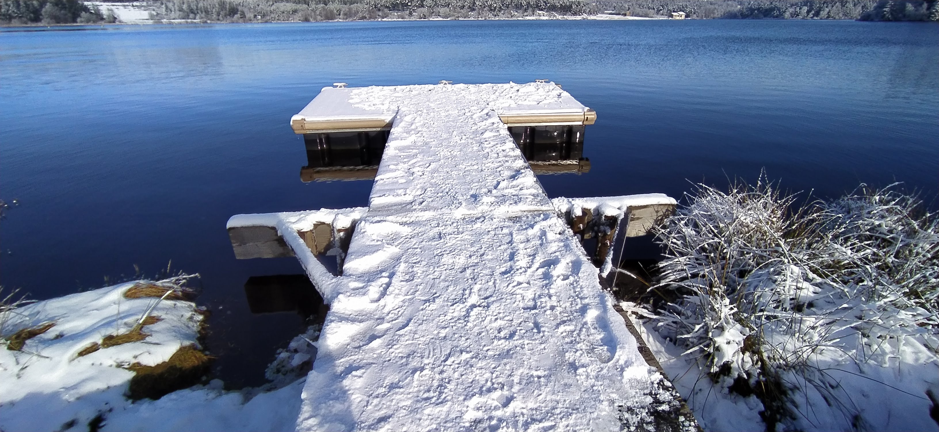 Photo n° 3 de l'avis de J'M. fait le 14/03/2021 à 06:16