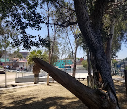 Nuevo Milenio Park photo