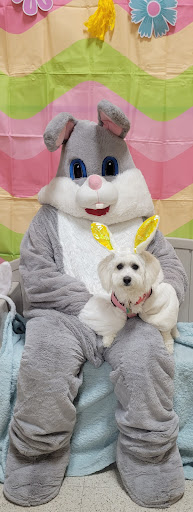 Pet Supply Store «PetSmart», reviews and photos, 777 S Willow St, Manchester, NH 03103, USA