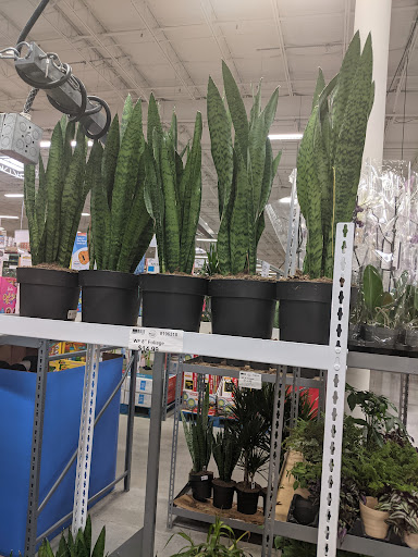 Warehouse club «BJ’s Wholesale Club», reviews and photos, 331 Newnan Crossing Bypass, Newnan, GA 30263, USA