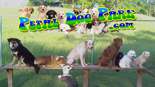 The Petal Dog Park