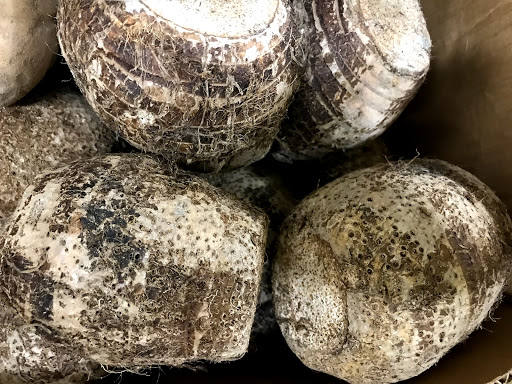 Grocery Store «D & L Groceries Inc», reviews and photos, 1005 Genesee St, Rochester, NY 14611, USA