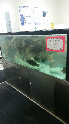 Asian Grocery Store «Wing Fa Asian Supermarket», reviews and photos, 9624 SW 72nd St, Miami, FL 33173, USA