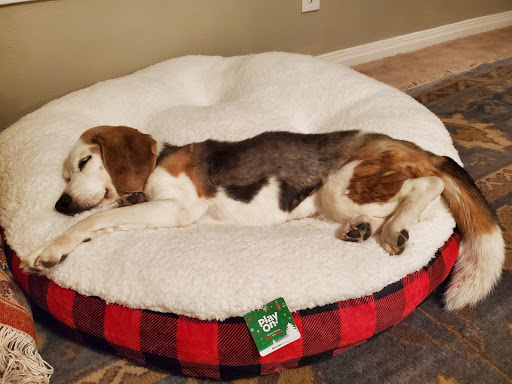 Pet Supply Store «Pet Supplies Plus», reviews and photos, 4100 Legacy Dr Suite 402, Plano, TX 75024, USA