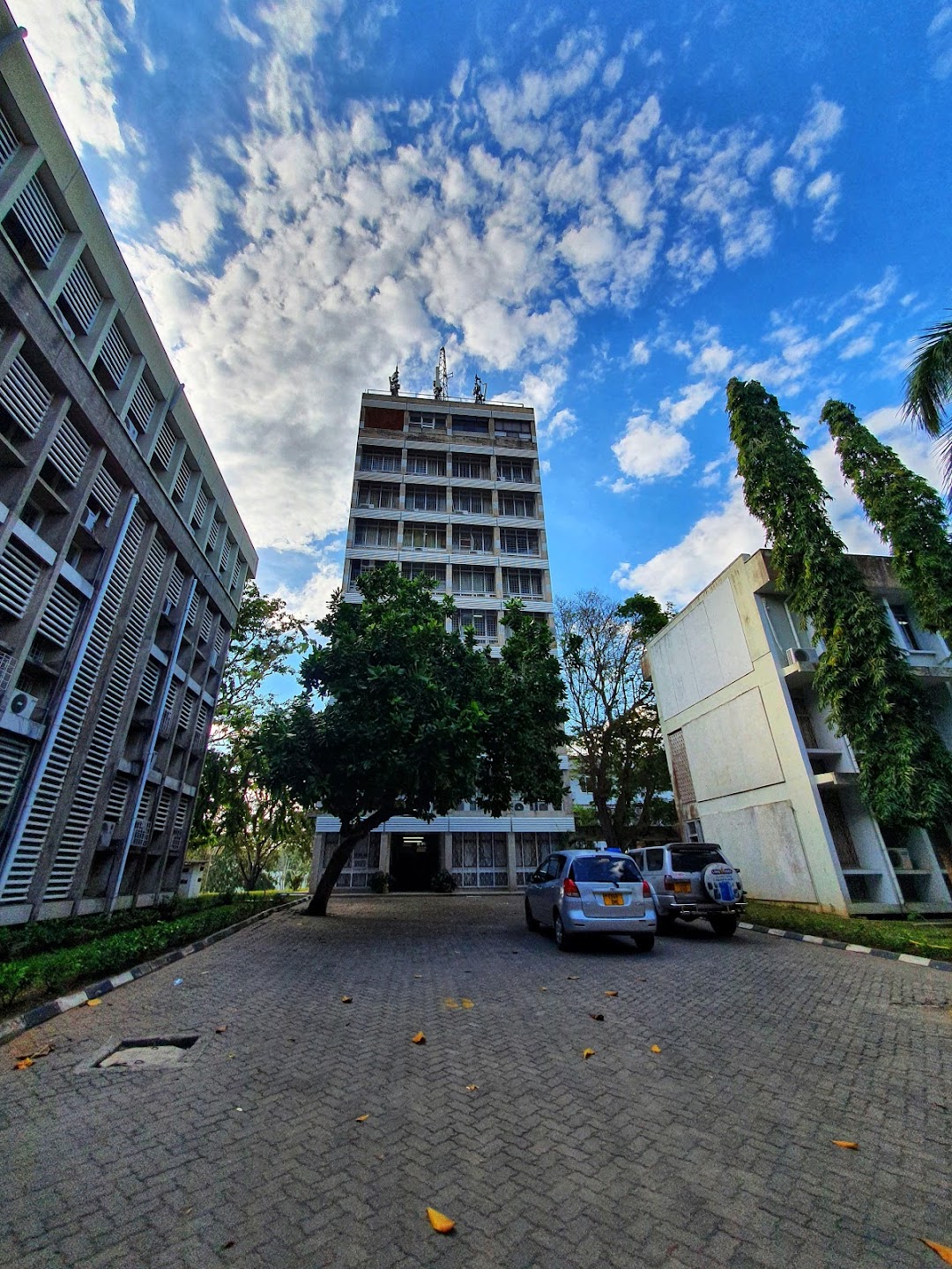 College of Arts and Social Sciences