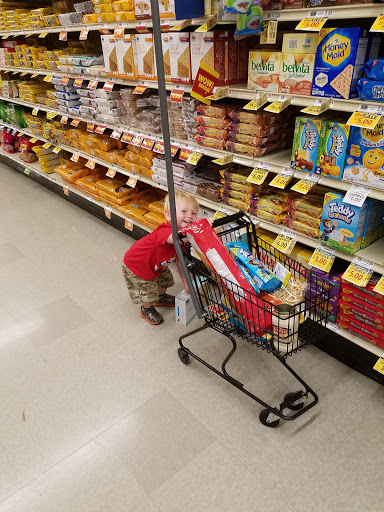 Grocery Store «Food Lion», reviews and photos, 5210 George Washington Memorial Hwy, Grafton, VA 23692, USA