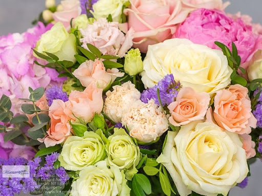 Florist «Fioravanti Florist», reviews and photos, 2279 Clifford Ave, Rochester, NY 14609, USA