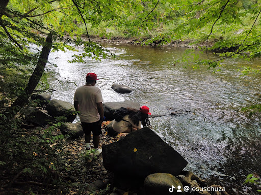 Gym «Coliseum Gym Inc», reviews and photos, 7509 71st Ave, Middle Village, NY 11379, USA