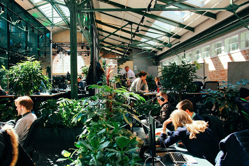 Hässelby Blommor - Företagsväxter till arbetsplatser, utemiljöer och event