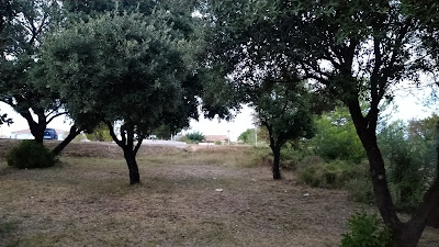 Direction Régionale Environnement Aménagement Logement (D.R.E.A.L) à Martigues