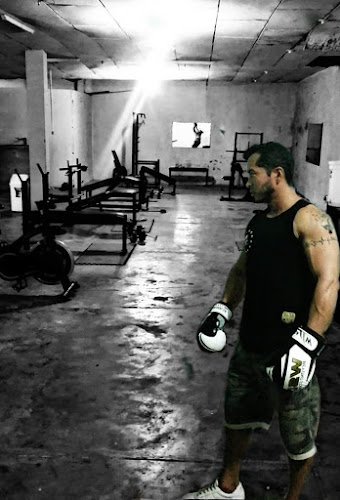 Comentarios y opiniones de Templo Gym
