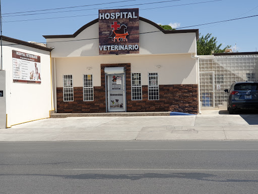 Cursos veterinaria Ciudad Juarez