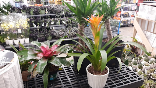 Discount Store «Walmart», reviews and photos, 26 Hampton House Rd, Newton, NJ 07860, USA