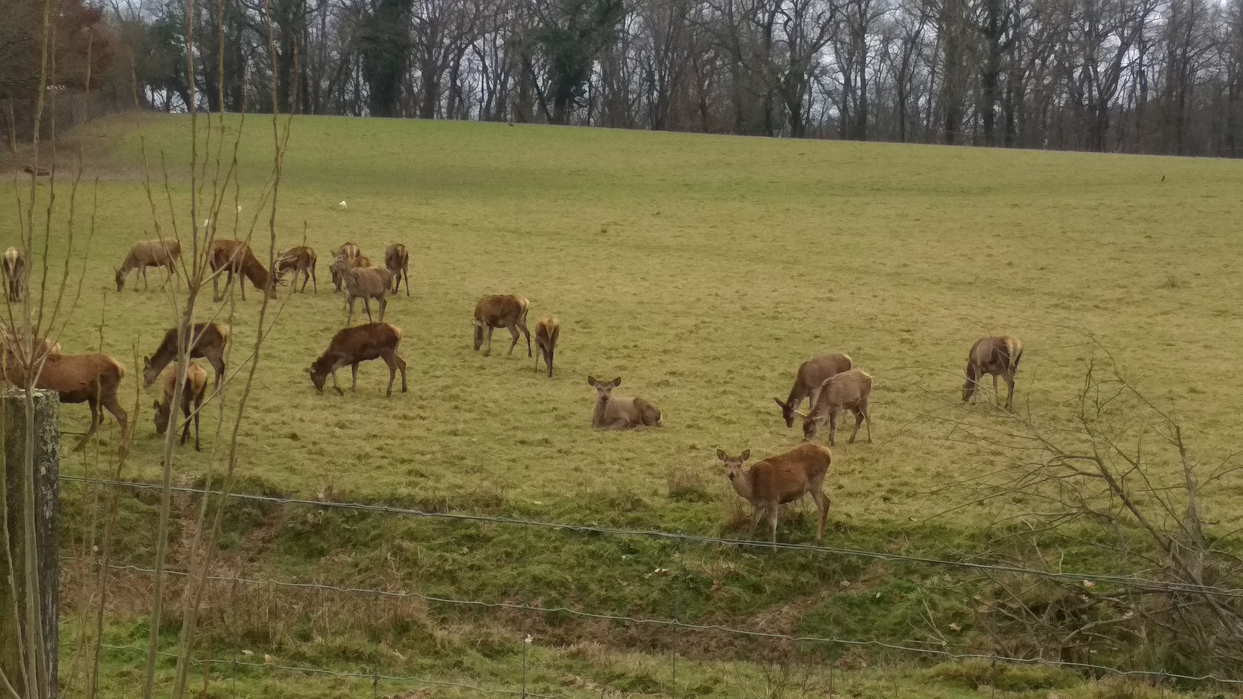 Photo n° 6 de l'avis de Gilles.a fait le 17/02/2018 à 18:09