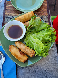 Rouleau de printemps du Restaurant thaï Mini-Thaï à Saint-Jeannet - n°12
