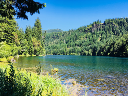 National Forest «Umpqua National Forest», reviews and photos, 1121 Houser Ct, Idleyld Park, OR 97447, USA