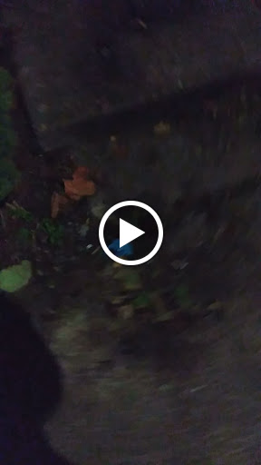 Drug Store «Bartell Drugs Broadway», reviews and photos, 1825 Broadway, Everett, WA 98201, USA