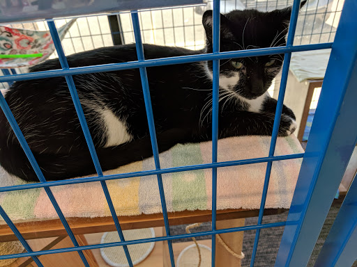 Pet Supply Store «Chow Hound Pet Supplies», reviews and photos, 518 N Beacon Blvd, Grand Haven, MI 49417, USA