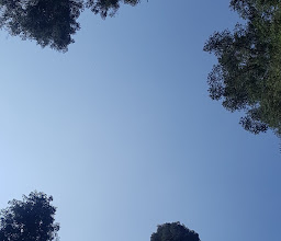 Ermita La Curva photo