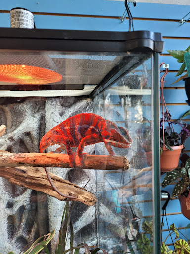 Pet Store «Fins Feathers Paws & Claws», reviews and photos, 436 Main St, Harleysville, PA 19438, USA