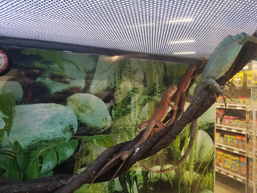 Pet Supply Store «Petco Animal Supplies», reviews and photos, 1203 SE Everett Mall Way f, Everett, WA 98208, USA