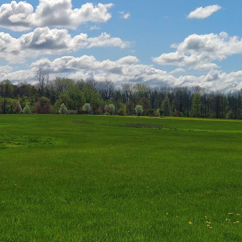 Ellicott Creek Trailway Park