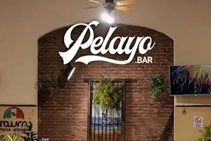 Pelayo Bar image