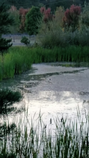 Park «Barton Park», reviews and photos, 19009 SE Barton Park Rd, Boring, OR 97009, USA