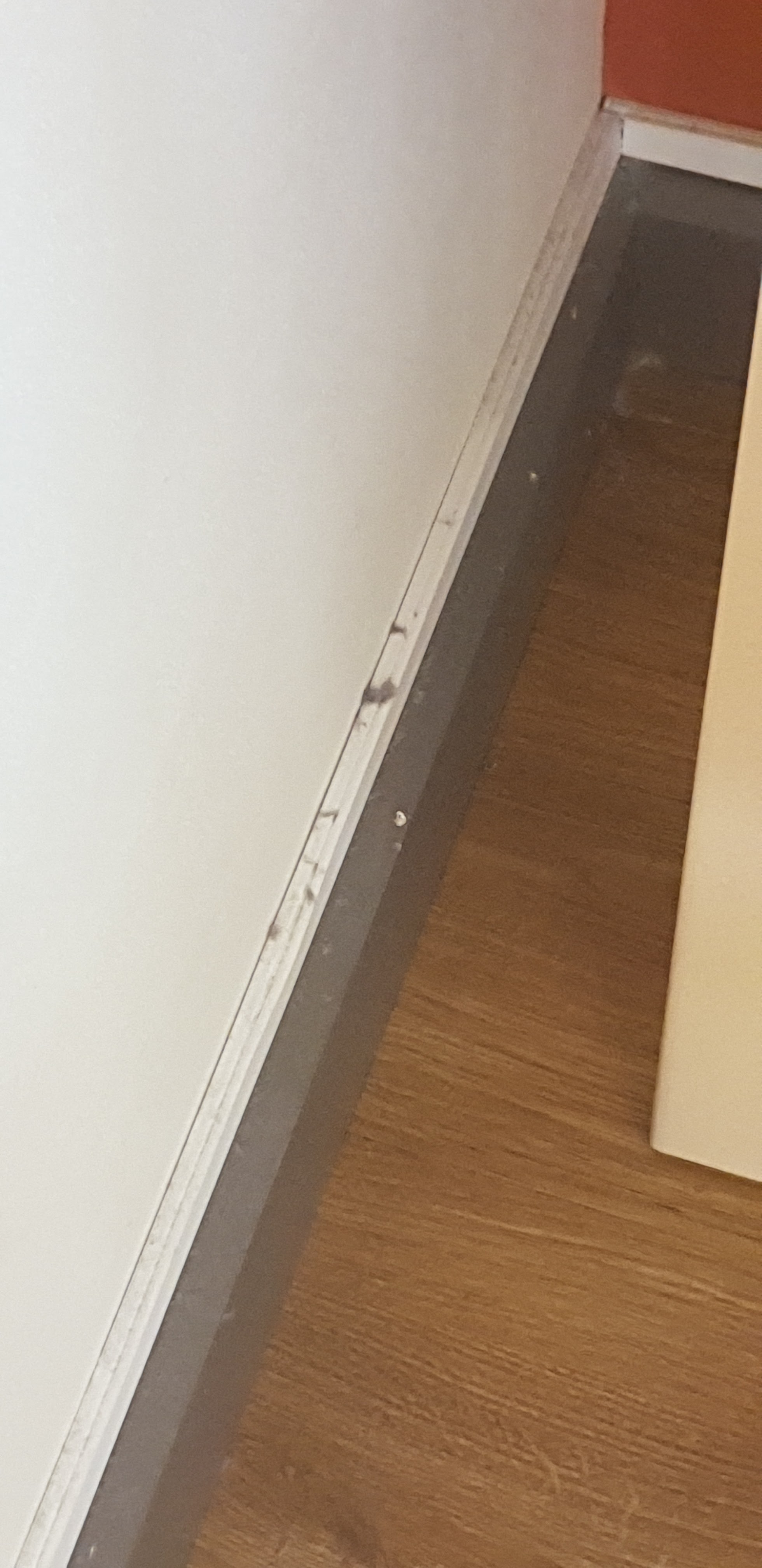 Photo n° 19 de l'avis de Dansquel.o fait le 28/09/2019 à 09:32