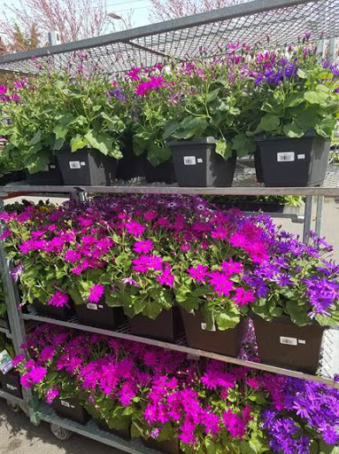 Hardware Store «McLendon Hardware», reviews and photos, 10210 16th Ave SW, Seattle, WA 98146, USA