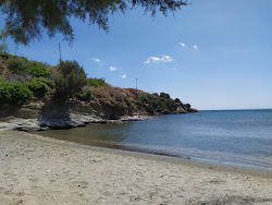 Foto von Porto Lafia beach wilde gegend