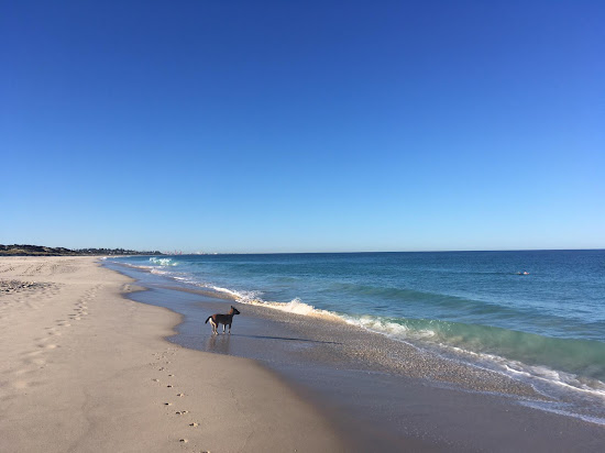 Perth South City Beach